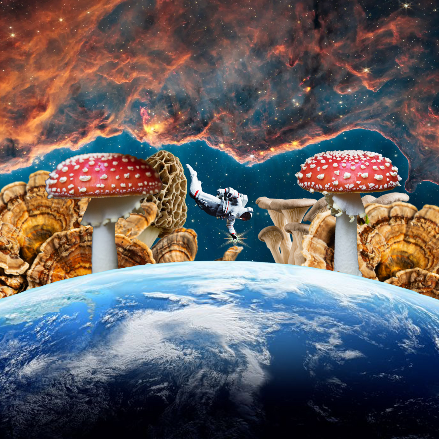 Fungal Freefall