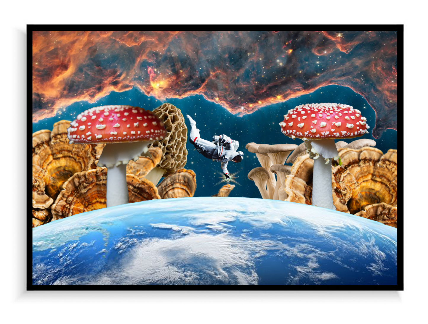 Fungal Freefall